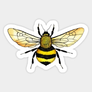 Buzzy Bee, Honey Sweet Sticker